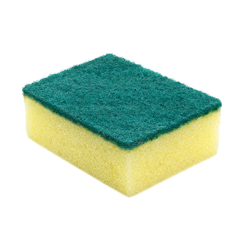 sponge